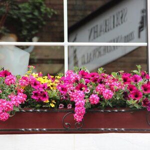 Meet your Posher, Chrisandnicole